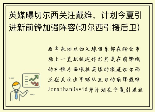 英媒曝切尔西关注戴维，计划今夏引进新前锋加强阵容(切尔西引援后卫)