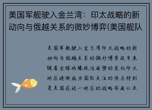 美国军舰驶入金兰湾：印太战略的新动向与俄越关系的微妙博弈(美国舰队进入印度)