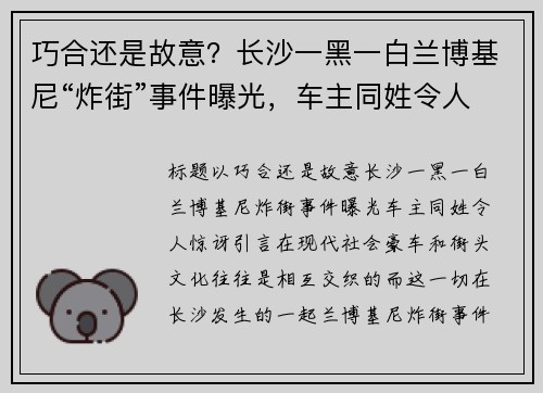 巧合还是故意？长沙一黑一白兰博基尼“炸街”事件曝光，车主同姓令人惊讶