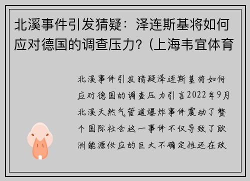 北溪事件引发猜疑：泽连斯基将如何应对德国的调查压力？(上海韦宜体育怎么样)