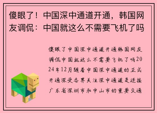 傻眼了！中国深中通道开通，韩国网友调侃：中国就这么不需要飞机了吗？